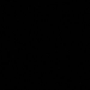 Meet your Posher, Connor